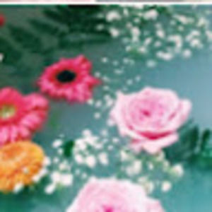 Meet your Posher, Gloria olaniyan